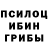 Псилоцибиновые грибы мицелий _polus_
