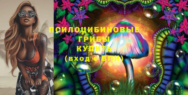 стафф Абинск