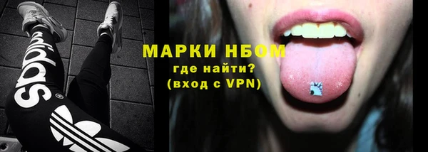 ECSTASY Алзамай